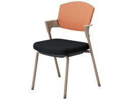 �R�N�� ��c�C�X �v���b�e�B �Œ�r�^�C�v �w�� K17Z02CZE60Y2