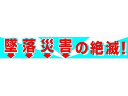 O[NX ^悱 BC[1 ėЊQ̐ 1148010101