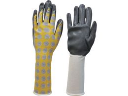 _bv }CgK[f ۂ w O M 6620