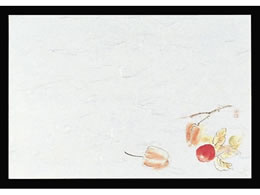 }C lG  100 M30-210 ق 6068800