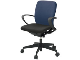 �C�g�[�L �t���S�`�F�A ���[�o�b�N �Œ�I �i�C�����L���X�^�[ BK NB�~BK