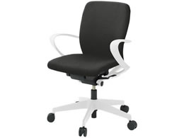 �C�g�[�L �t���S�`�F�A ���[�o�b�N �Œ�I �E���^���L���X�^�[ WH BK