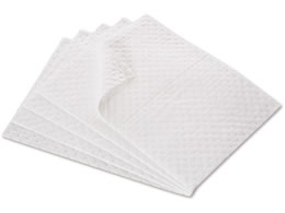 �e�����g �z���V�[�g(���n�Ȃ�) 110���� 300�~400 MR9393020