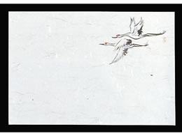 }C lG  100 M30-217  6069500