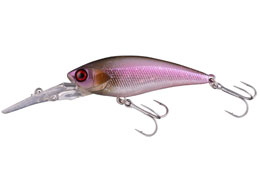 WbJ fB[rVbh55MR #S[XgsNJTM