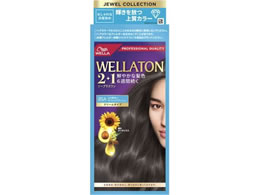 EGWp EGg[2+1 N[^Cv 8SA