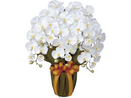 A[gNGCV GKgӒ 64cm zCg 61280007