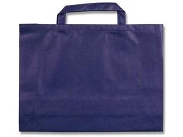 wCR[ 񂰑 FobO L  10 008739102