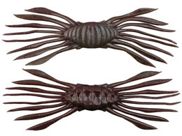 �W���b�J�� �h���t�g�N���u45 #�N���x���P�C�K�j