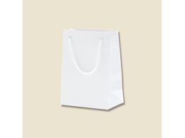 wCR[ 񂰎 uCgobO T-4  10 006143200