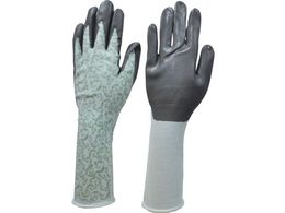 _bv }CgK[f ނ w O S 6621