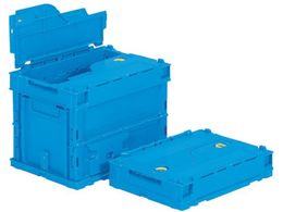 TR[/t^̌^܂肽݃Rei[ TNbgIR