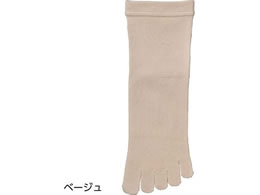 ߂5{w\bNX(wl) x[W 22`24cm