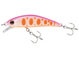 WbJ TM gR[c43HW #MBsN