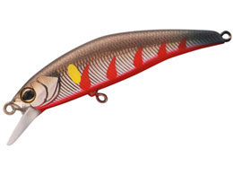 WbJ TM gR[c53HW #S㈼