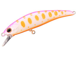 WbJ TM gR[c53HW #MBsN