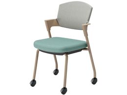 RN cCX vbeB LX^[^Cv K17Z22CG39E22