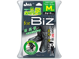 vX^bt gїp Jbp̑rY M P158