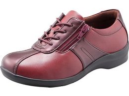 ���[���X�^�[ EVE 195 �w�l�p ���b�hC 23.5cm