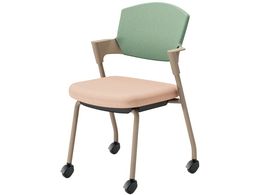 RN cCX vbeB LX^[^Cv K17Z22CG9G2J2