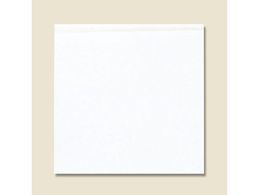 wCR[ o[K[ M n 500 004738251