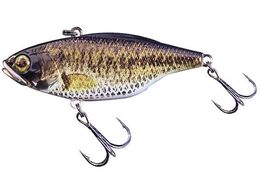 WbJ TN50 t^OXe #RTERz oX