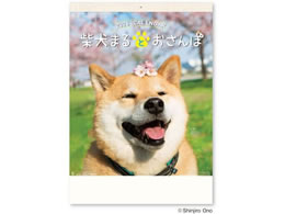 V{J_[ Č܂ƂۃJ_[ NK8035