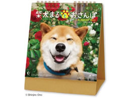 V{J_[  Č܂Ƃ NK8529