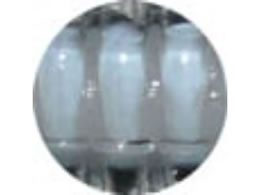 ���C�� �A�W�����K�[Pro #222 �R�A�z���C�g