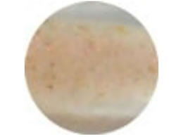 ���C�� �A�W�����K�[Pro #223 �R�A�I�L�A�~�p���[