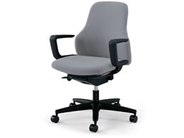 �R�N�� �O�[�t�H ���[�o�b�N �u���b�N�V�F��C�^�I �\�t�g�O���[ �i�C�����L���X�^