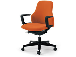 �R�N�� �O�[�t�H ���[�o�b�N �u���b�N�V�F��C�^�I �^���W�F���� �i�C�����L���X�^