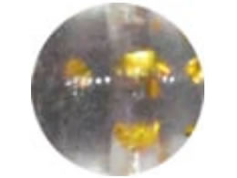 ���C�� �A�W�����K�[Pro #232 �R�A�V�[�N���b�g