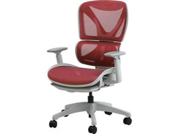 Netforce �_�C�i�~�N�XX�`�F�A �w�b�h���X�g�Ȃ� �O���[�^���b�h