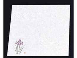 A[ebN Vԓ ~ l 100 NY-8 