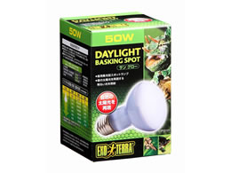 WFbNX TO[oXLOX|bgv50WPT2131