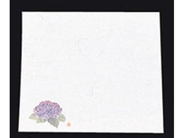 A[ebN Vԓ ~ l 100 NY-9 