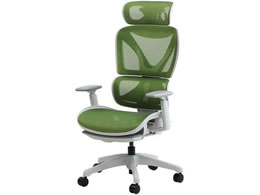 Netforce �_�C�i�~�N�XX�`�F�A �w�b�h���X�g�t �O���[�^���C���O���[��