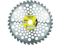 gL O[o\[ XSM @p GSC-255-40