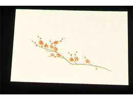 A[ebN ڎO ΂܂ N[ 100 WSS-3 ~