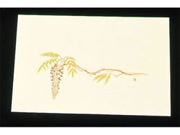 A[ebN ڎO ΂܂ N[ 100 WSS-7 