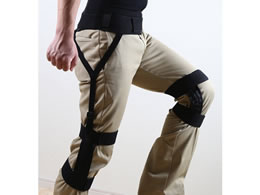 LOW ƃAVXgT|[^[(qU) ASSP20-K