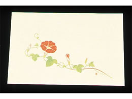 A[ebN ڎO ΂܂ N[ 100 WSS-10 