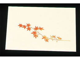 A[ebN ڎO ΂܂ N[ 100 WSS-12 ݂