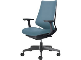 �R�N�� �`�F�A �f���I��2 �u���b�N�r �N�b�V���� �����e�B�R���u���[