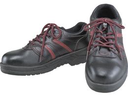 ӂ SV[YZC^Cv 25.5 JW750-255