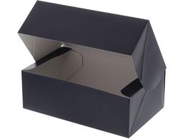 wCR[ Mtg R{bNX SF-10 n 10 006860210