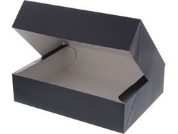 wCR[ Mtg R{bNX SF-55 n 10 006860255