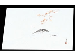 }C lG ݎ 100 M33-123 ݂ 7962800