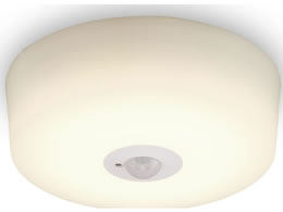 ACXI[} ^V[OCg lZT[ 600lm dF